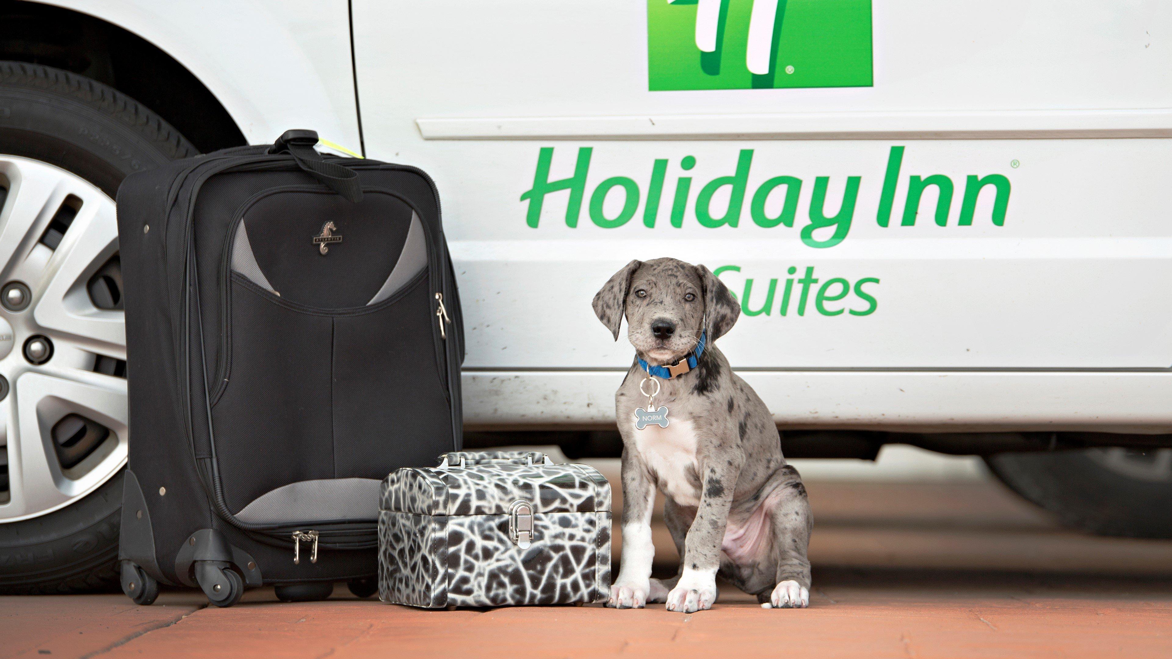 Holiday Inn Hotel & Suites Bloomington Airport By Ihg Zewnętrze zdjęcie